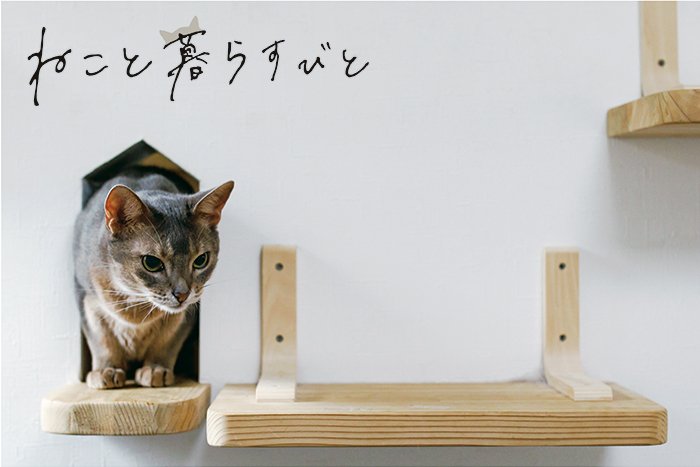 “ねこと暮らすびと”～香川の工務店で建てる、猫と暮らす家の画像